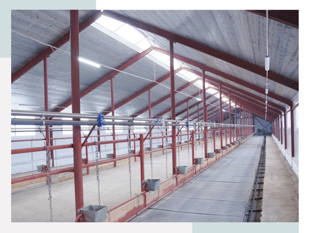 Строительство коровников в Учалах от 610 руб.