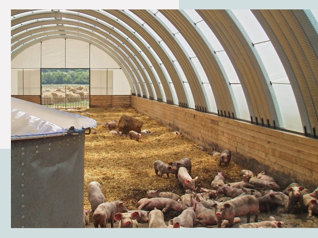 Строительство свинарников в Учалах